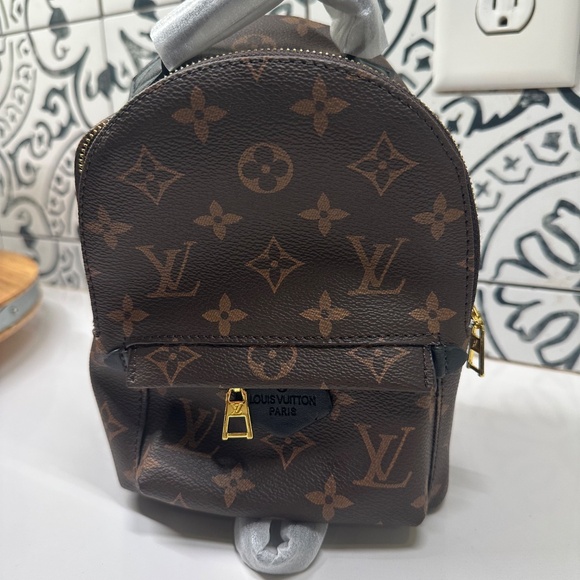 Louis Vuitton Palm Springs Mini Bag - Picture 5 of 9